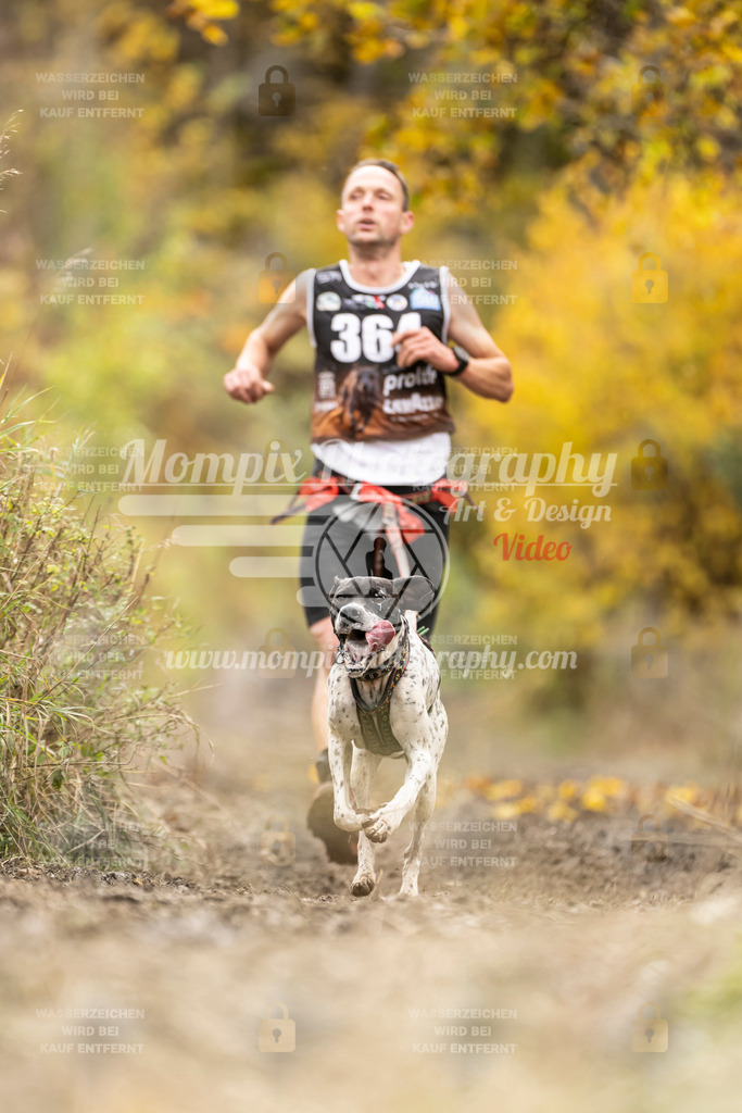 MompixPhotography_ICF_WC_2024_SA_Run_-304 | PayLife