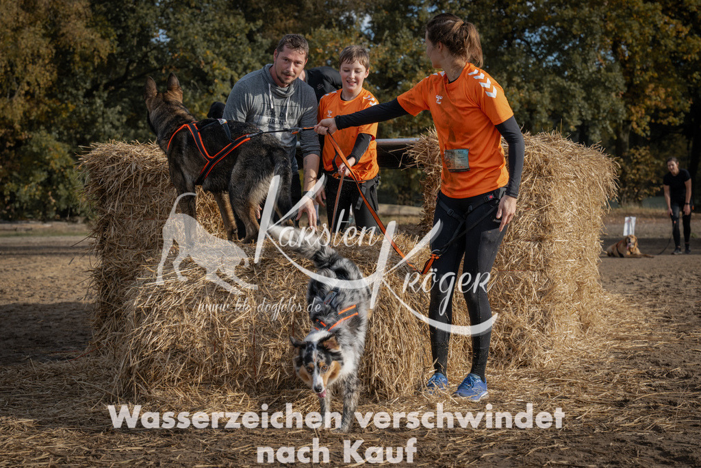 1032_ZZ98585 | kk-dogfotos