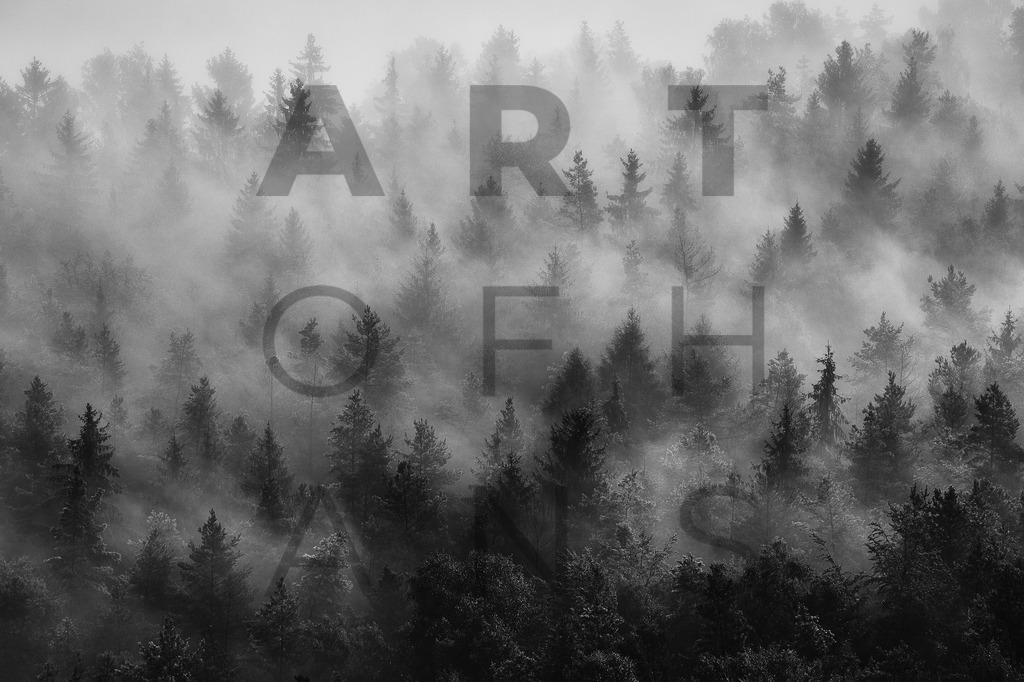 Ein Hans Fineart Original | Entdecke die Kunst von Hans Fineart - Fotografien für dein Zuhause. Verwandle deine Wände mit einzigartigen Kunstwerken und bringe die Schönheit der Welt in dein Leben. Bestelle jetzt und schaffe einen Ort der Inspiration und Eleganz.