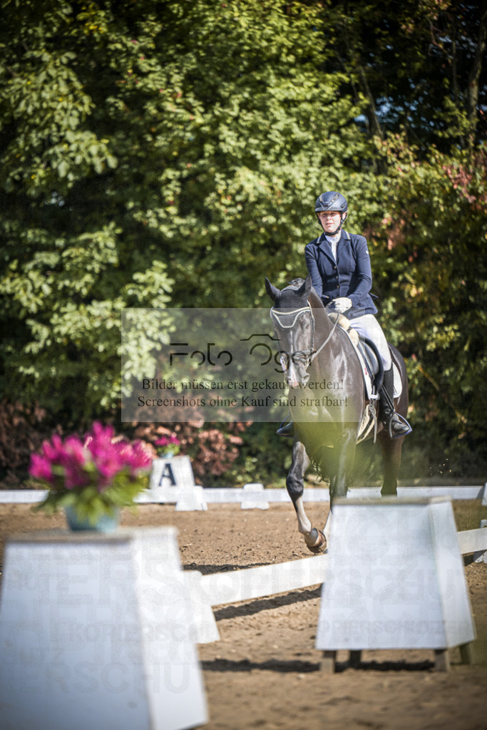 DOS_3822 | Entdecke hochwertige Reitturnierfotos von Foto Oger. Professionell, emotional und authentisch – jetzt Lieblingsmomente im Shop bestellen.Deutschlandweite Turnierfotografie. - Realisiert mit Pictrs.com