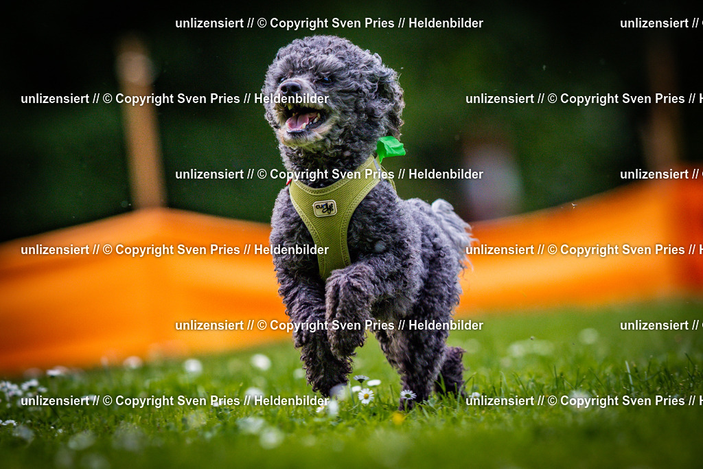 Sven Pries | 2025-05-29 - Pudelrennen KA-Durlach - Realisiert mit Pictrs.com