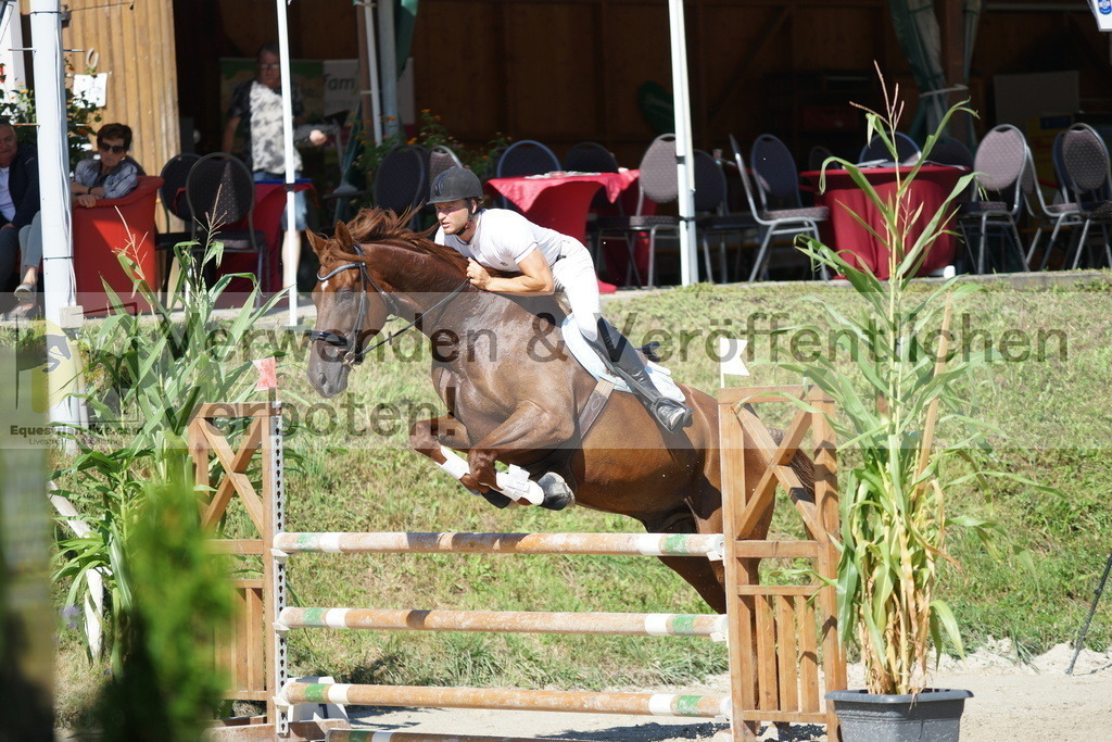 DSC02426 | equestrian-live-com
