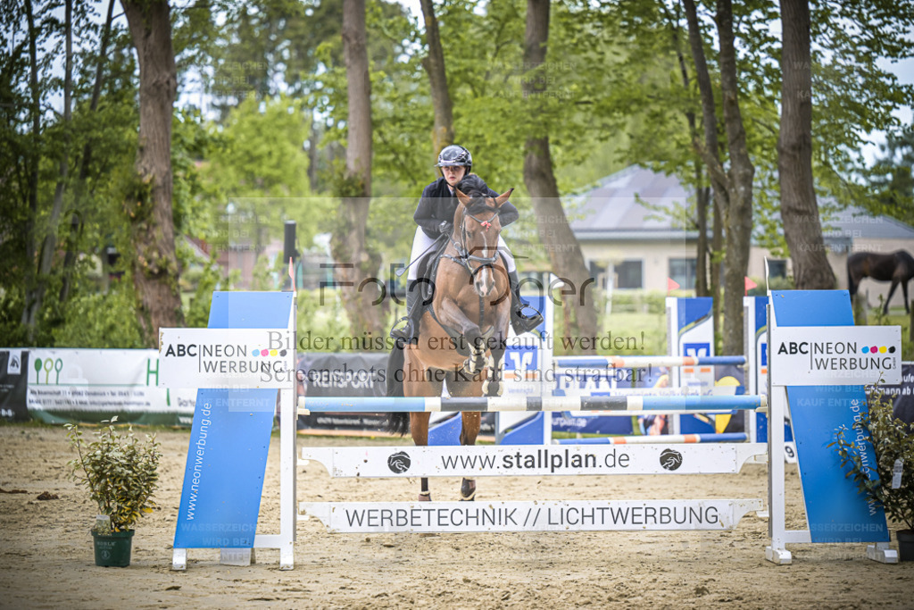 DOS_9107 | Entdecke hochwertige Reitturnierfotos von Foto Oger. Professionell, emotional und authentisch – jetzt Lieblingsmomente im Shop bestellen. - Realisiert mit Pictrs.com