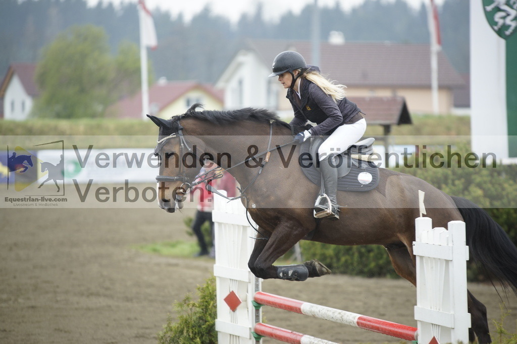 _DSC3842 | equestrian-live-com