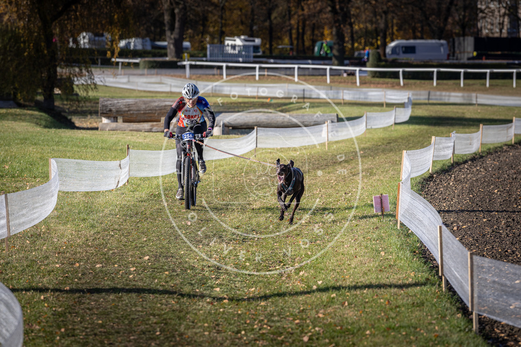 CaniXpix_DV3A4669 | Hundefotografie, Tierfotograf, Pfotenfotografie, Fotoshooting Hund, Hunde Portrait, Hundesport, Hundeportraits, Heideshooting, Hunde, Sportfotograf, Hundefotograf, Turnierhundsport, THS,  - Realisiert mit Pictrs.com