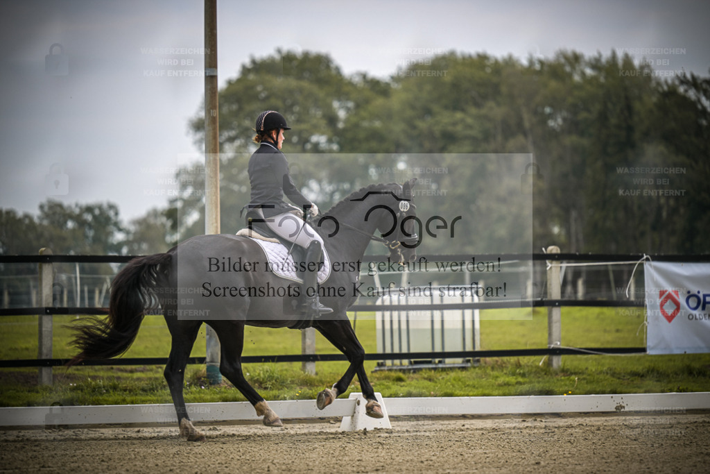 DOS_B363 | Entdecke hochwertige Reitturnierfotos von Foto Oger. Professionell, emotional und authentisch – jetzt Lieblingsmomente im Shop bestellen. - Realisiert mit Pictrs.com