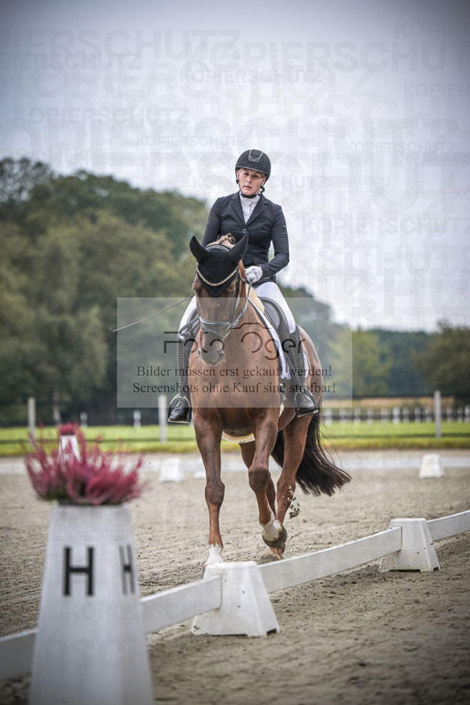 DOS_0173 | Entdecke hochwertige Reitturnierfotos von Foto Oger. Professionell, emotional und authentisch – jetzt Lieblingsmomente im Shop bestellen.Deutschlandweite Turnierfotografie. - Realisiert mit Pictrs.com