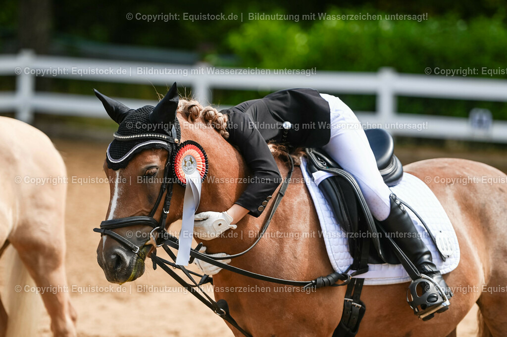 20230716_10-3_Reiter-WB Schritt - Trab - Galopp_0235 | equistock