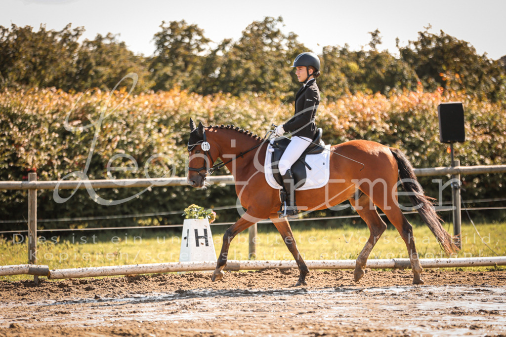 07.SoDrE00267 | Leoni Ertmer Photography - Realisiert mit Pictrs.com