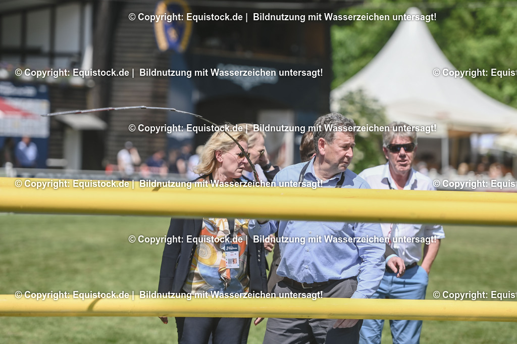 D78_3578 | equistock