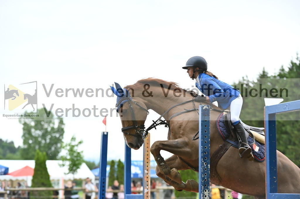 DSC_0548 | equestrian-live-com
