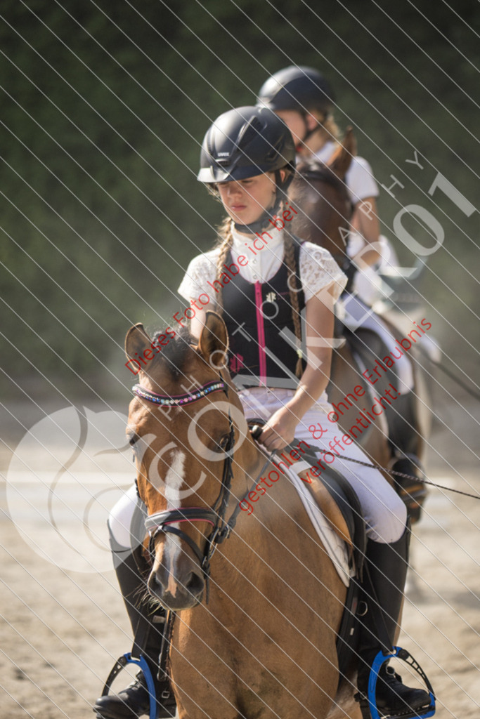 IMG_5784 | Sport-, Event- und Tierfotos in Profiqualität. Einfach auswählen, bestellen und herunterladen. Dein Moment – perfekt festgehalten.