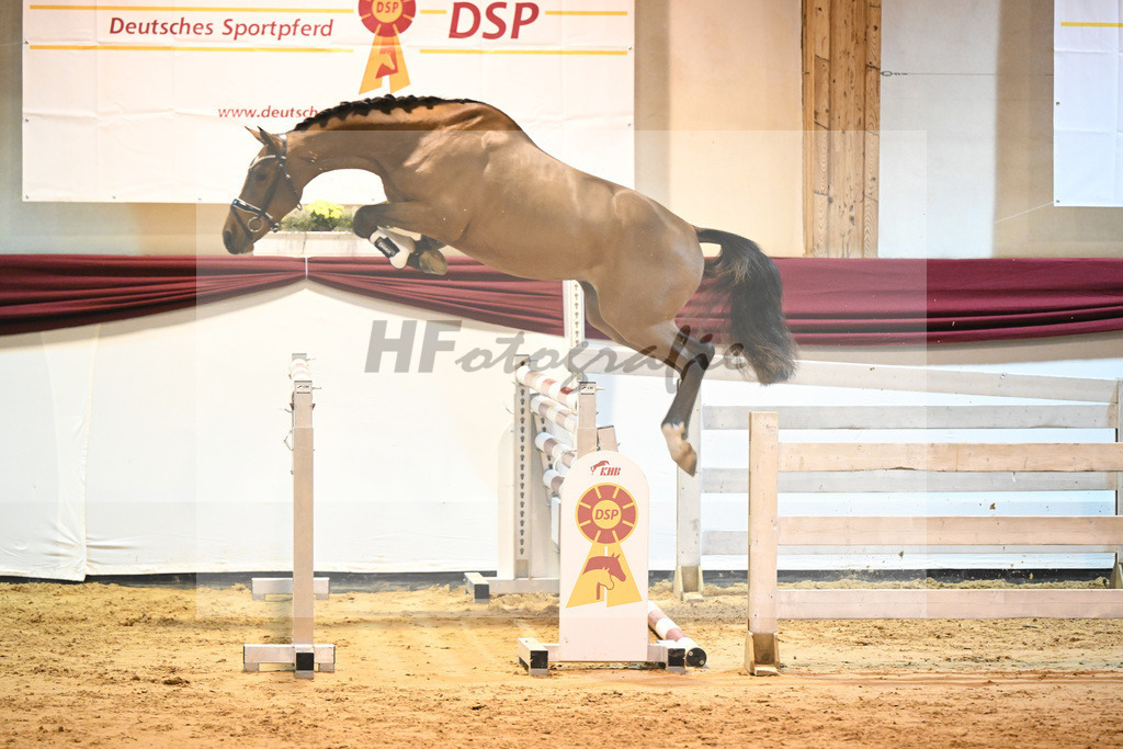 Kat-Nr. 46 v. Poker de Mariposa_Beckmann_66221273 | hf-fotografie - Realisiert mit Pictrs.com