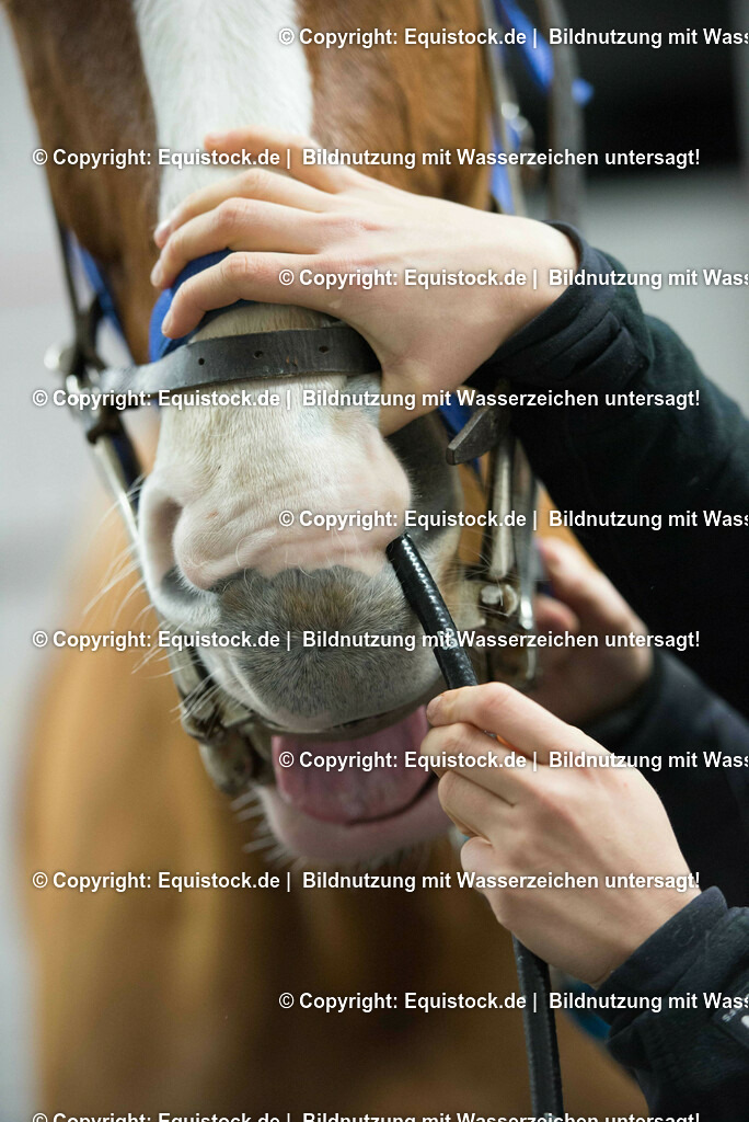 20170113_Endoskopie_0002 | Foto: Thomas Hartig