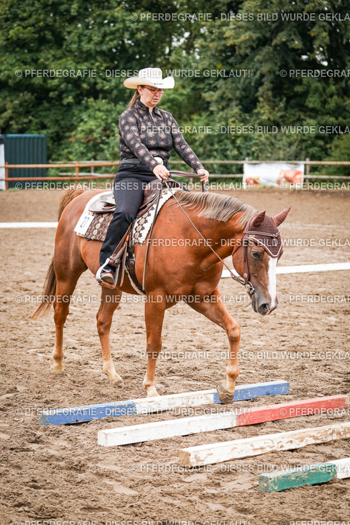 DSC03042 | Pferdegrafie