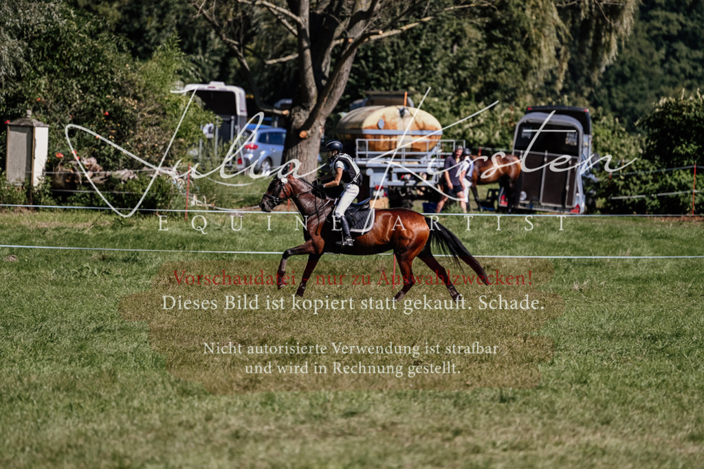 DSC_1730 | Pferde- und Turnierfotografie in Westsachsen. Pferdeportraits, Auftragszeichnungen und intuitive Kunst.