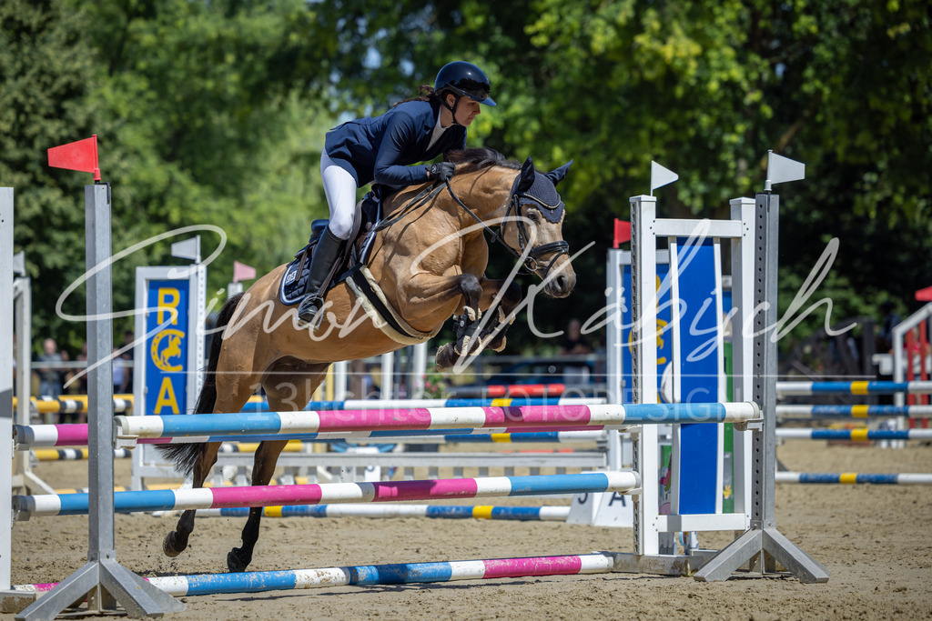20260704-_3LI8080 | Tierfotografie Pferde, Hunde, Katzen, Haustiere.
Turnierfotografie Reitturniere, Reiten, Springreiten, Dressur in Hanau, dem Main-Kinzig-Kreis und dem Rhein-Main- Gebiet um Frankfurt