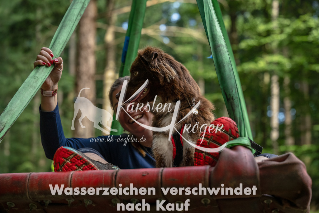 1108_ZZ94216-Bearbeitet | kk-dogfotos