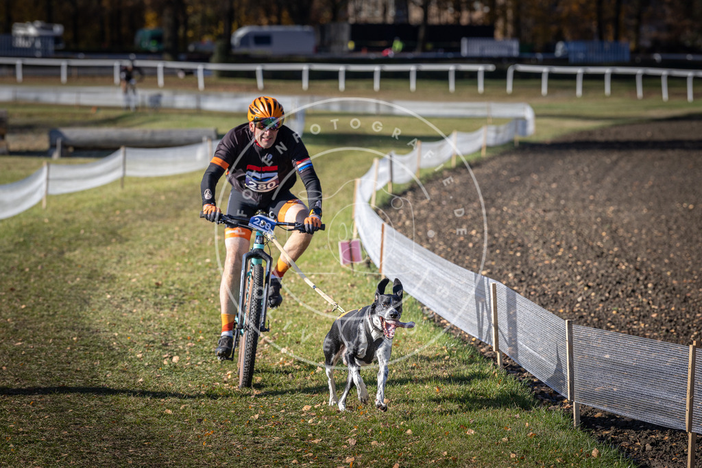 CaniXpix_DV3A5644 | Hundefotografie, Tierfotograf, Pfotenfotografie, Fotoshooting Hund, Hunde Portrait, Hundesport, Hundeportraits, Heideshooting, Hunde, Sportfotograf, Hundefotograf, Turnierhundsport, THS,  - Realisiert mit Pictrs.com