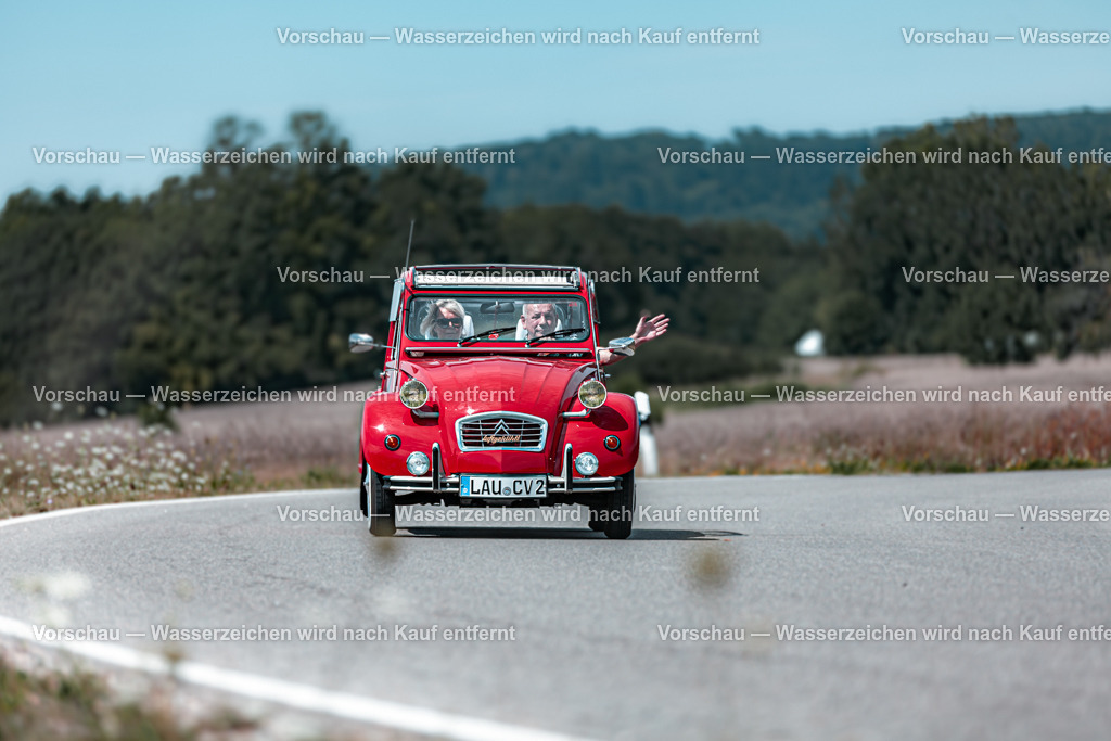 Rollhofen 2025_Hinfahrt_0210__MG_9430 | #Grafikstudio Simplex #Fotos Juri Anikanov #Eventfotos #Grafiker #Fotograf #Eventfotograf #Fotograf Lauf #Fotogalerie #Shop #Sportfotograf #Fotograf Lauf an der Pegnitz  #Fotograf Lauf - Realisiert mit Pictrs.com