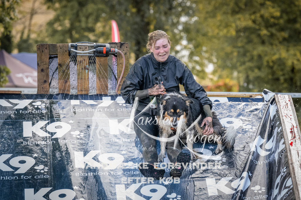 1522_ZZ94503 | kk-dogfotos