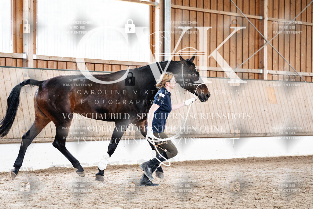 CK908090 | Turnierfotografie Pferdefotografie Trier Rheinland-Pfalz Pferdesport Reitsport Tierfotografie Sportfotografie Pferdevideo Pferdevideografie Equestrianvideography equestrianphotography  - Realisiert mit Pictrs.com