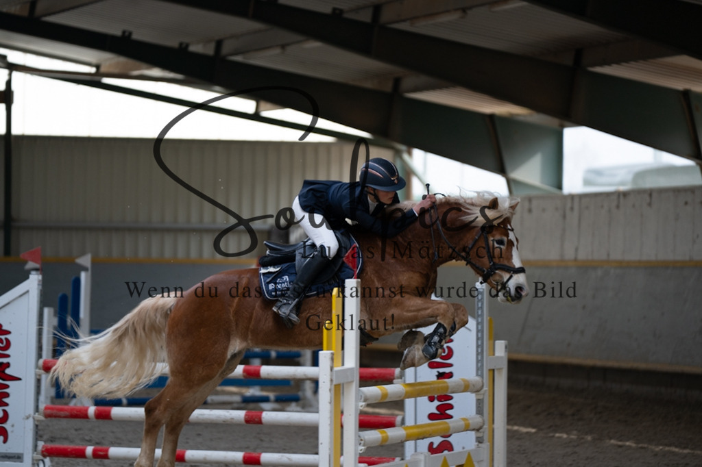 A7V08403 | Pferdefotograf