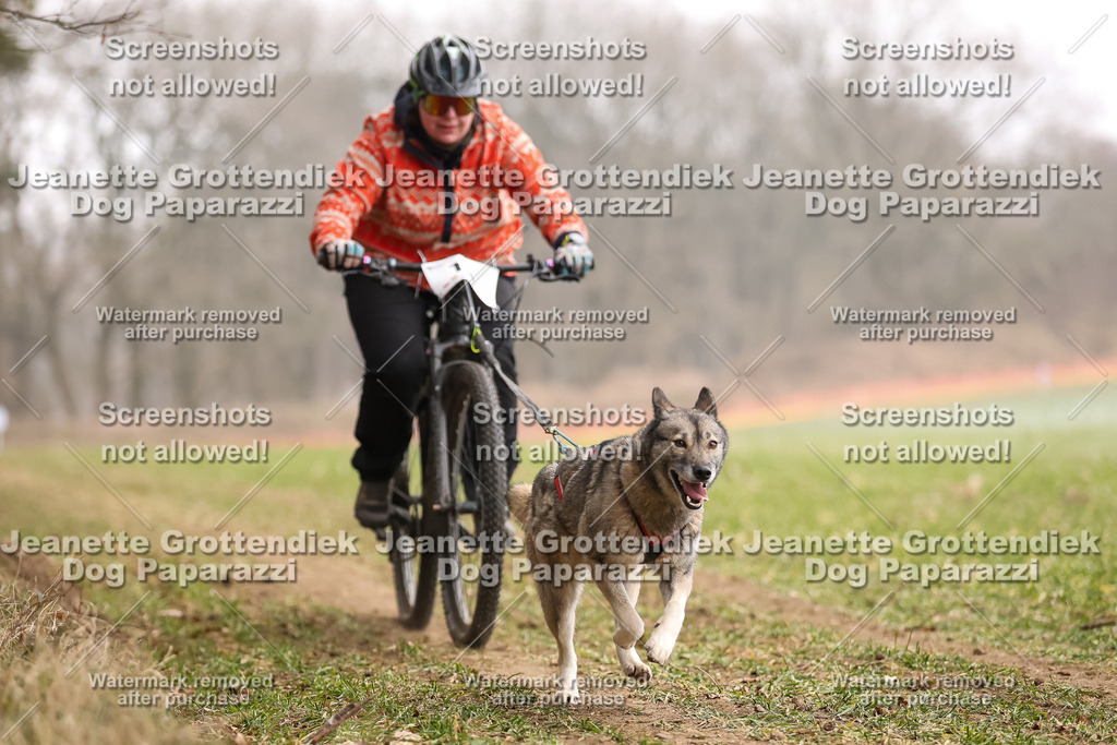 Dog Paparazzi - Plate 2026-64 | Dog Paparazzi Jeanette Grottendiek Fotografie & Videografie - Realisiert mit Pictrs.com