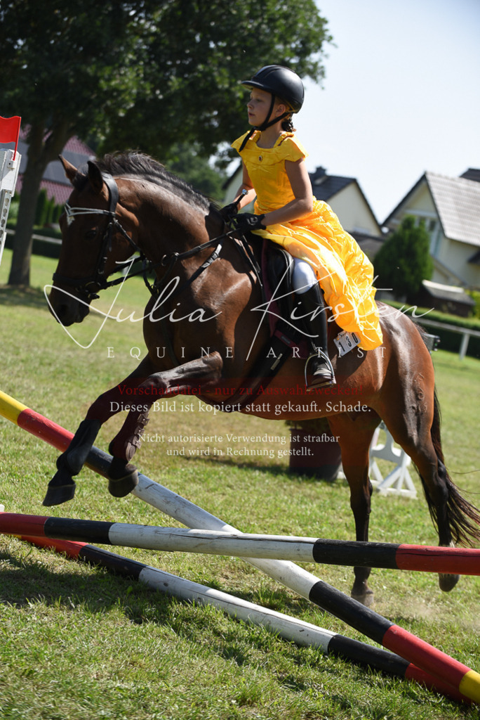 DSC_0161 | Pferde- und Turnierfotografie in Westsachsen. Pferdeportraits, Auftragszeichnungen und intuitive Kunst.
