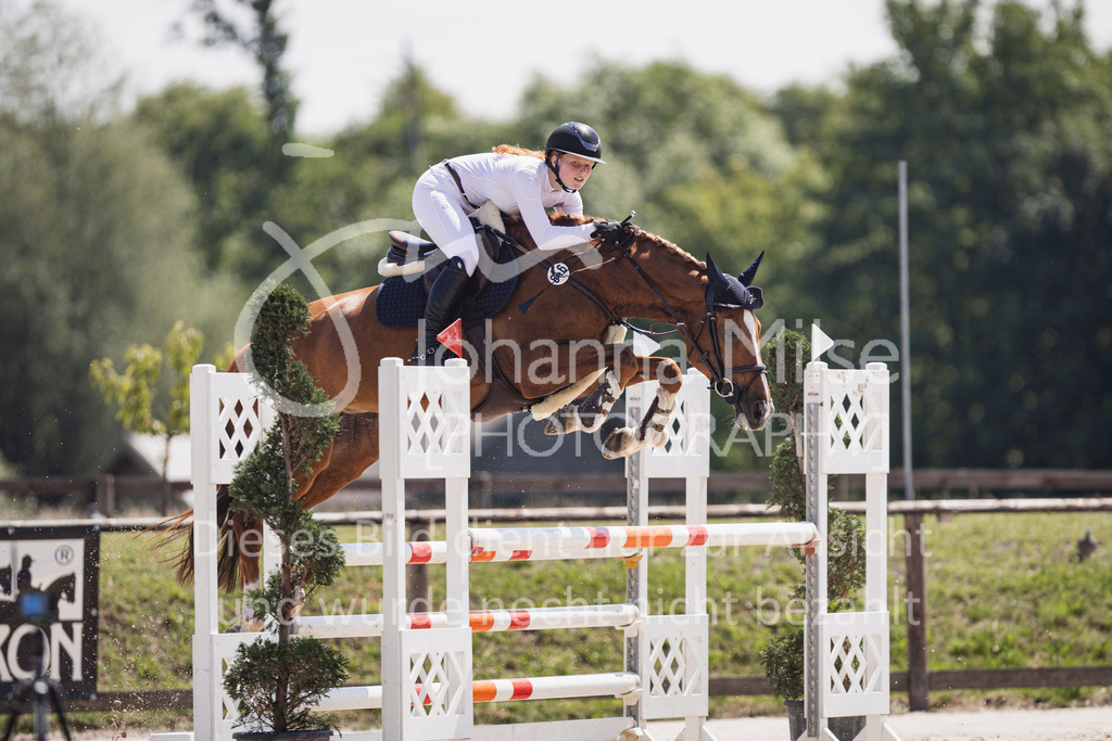 250629_PfSpTa_L-Spr-1-421 | Deine schönsten Turniermomente als professionelle Fotos! Entdecke hochwertige Pferdesport-Fotografie im Online-Shop. Jetzt Fotos finden & bestellen!