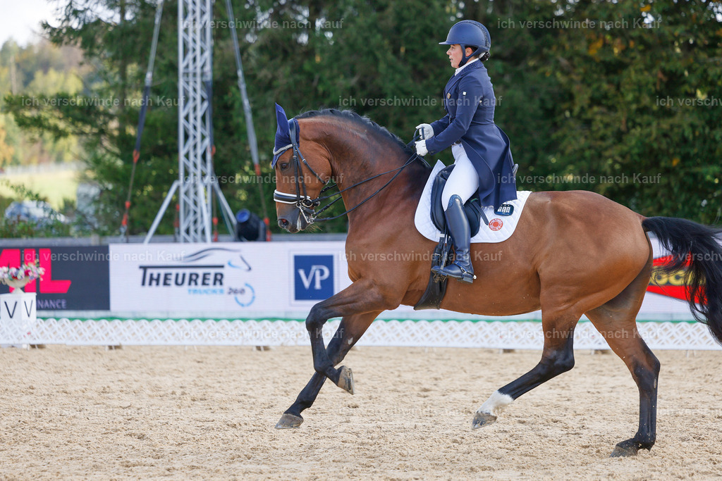 09_2-169-DRESSUR  S_  -StoibPH-5765 | working equitationturnier fotograf videograf stoibphotography marixx film working equitation deutschland reitsport turnierfotografie eventfotografie equestrian events