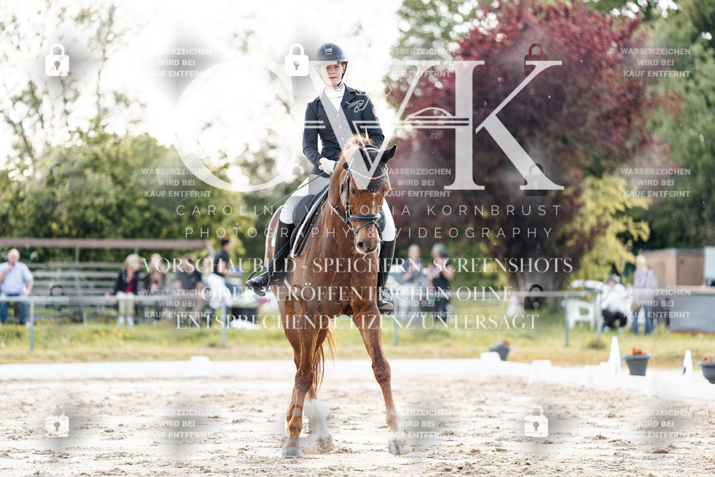 CK909750 | Turnierfotografie Pferdefotografie Trier Rheinland-Pfalz Pferdesport Reitsport Tierfotografie Sportfotografie Pferdevideo Pferdevideografie Equestrianvideography equestrianphotography  - Realisiert mit Pictrs.com