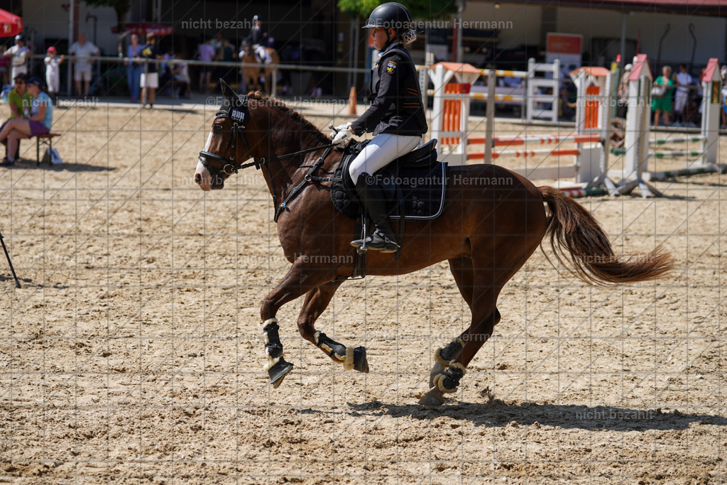 20240824-FAH08159 | Thierhaupten 2024, Bayerisches Landesponyturnier, Turnierbilder, Ponybilder, Turnierfotografen Bayern, Fotoagentur Herrmann
