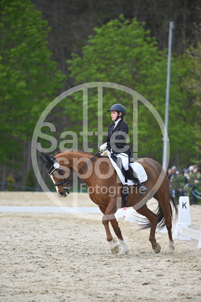 DSC_4820 | sattelsport - Realisiert mit Pictrs.com