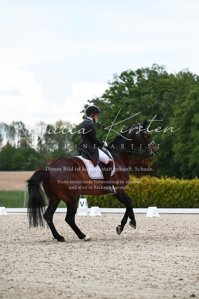 20230514_JK-Röhrsdorf-21-262 | Pferde- und Turnierfotografie in Westsachsen. Pferdeportraits, Auftragszeichnungen und intuitive Kunst.