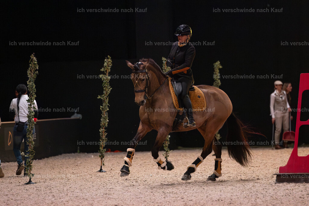 JoseraCup-44 | working equitationturnier fotograf videograf stoibphotography marixx film working equitation deutschland reitsport turnierfotografie eventfotografie equestrian events