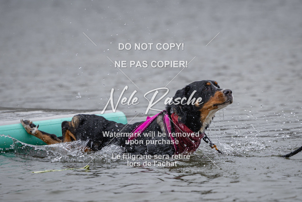 nelerasche_Hulsbeek_Sa1430-1515_300 | nelerasche
