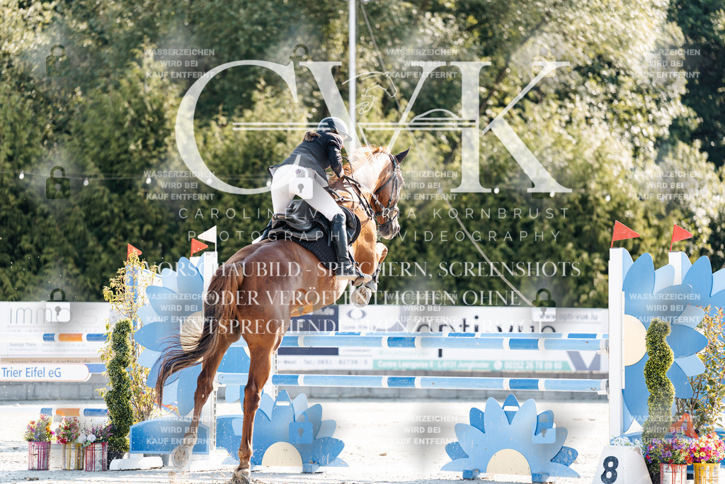 CK901683 | Turnierfotografie Pferdefotografie Trier Rheinland-Pfalz Pferdesport Reitsport Tierfotografie Sportfotografie Pferdevideo Pferdevideografie Equestrianvideography equestrianphotography  - Realisiert mit Pictrs.com