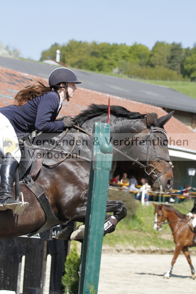 _MG_9504 | equestrian-live-com