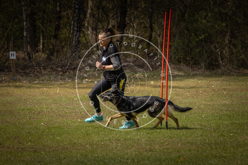 Pfotenfotografie_DV3A4248 | Hundefotografie, Tierfotograf, Pfotenfotografie, Fotoshooting Hund, Hunde Portrait, Hundesport, Hundeportraits, Heideshooting, Hunde, Sportfotograf, Hundefotograf, Turnierhundsport, THS,  - Realisiert mit Pictrs.com