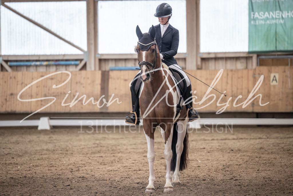 20251011-_3LI0052 | Tierfotografie Pferde, Hunde, Katzen, Haustiere.
Turnierfotografie Reitturniere, Reiten, Springreiten, Dressur in Hanau, dem Main-Kinzig-Kreis und dem Rhein-Main- Gebiet um Frankfurt