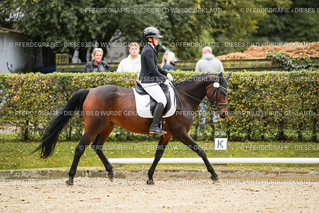 DSC07057 | Pferdegrafie