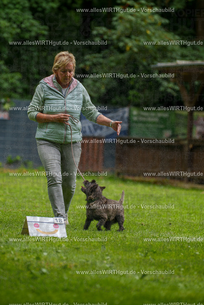 @allesWIRTHgut_Tierfotografie - www.allesWIRTHgut.de - 130341-7R509746 | Professionelle Tierfotografie in Mönchengladbach von Daniel Wirth (allesWIRTHgut). Liebevolle & natürliche Bilder von Hunden & Katzen für unvergessliche Erinnerungen.