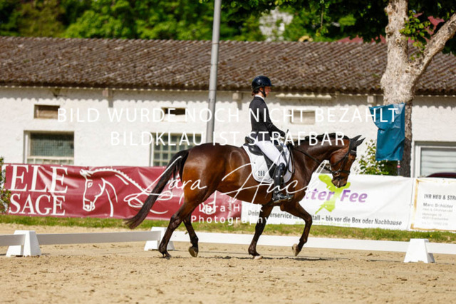 _62_2751 | larahueckfotografie