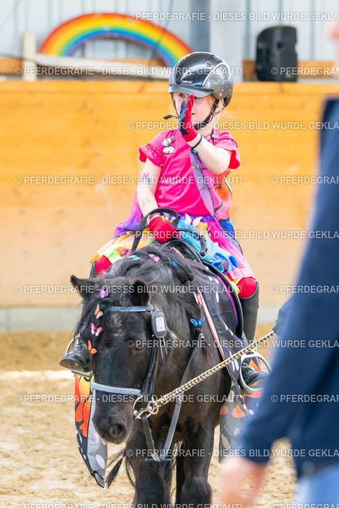 DSC00418 | Pferdegrafie