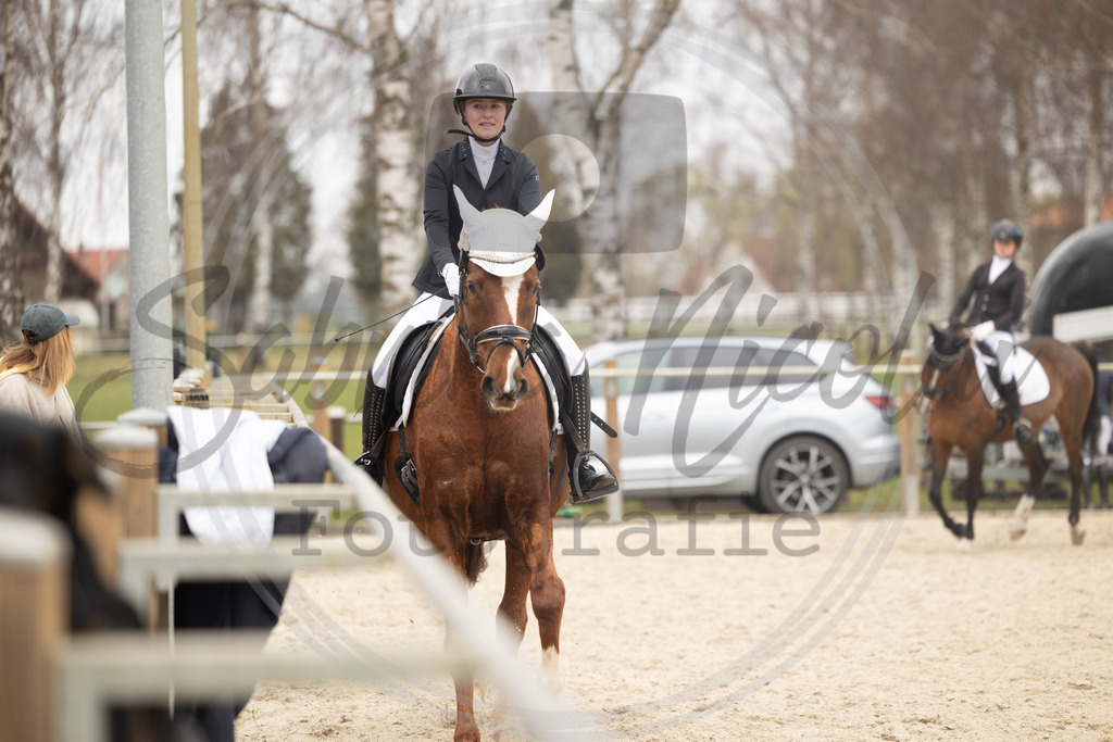 994A8588 | sabrinanicolaifotografie - Realisiert mit Pictrs.com