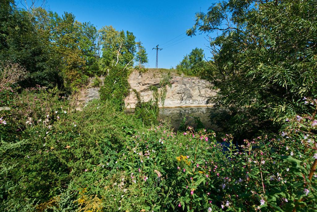 FFH-Gebiet Kalkbrüche im Wildenfelser Zwischengebirge 01 | Bedeutsame Landschaften Deutschlands - Realisiert mit Pictrs.com