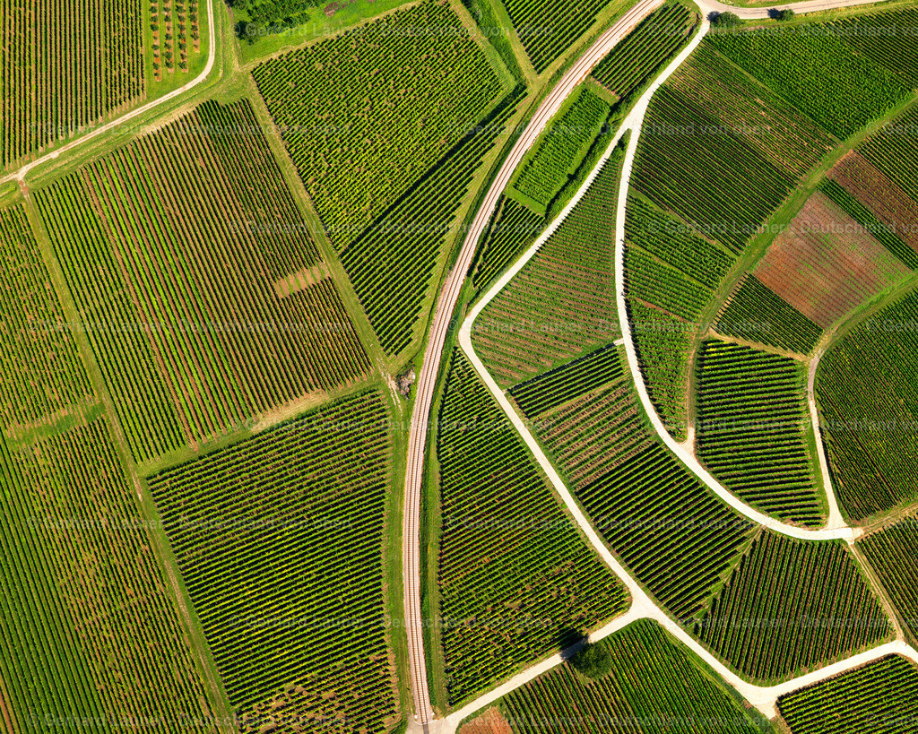 2700072 | Strukturen im Weinberg bei Burkheim