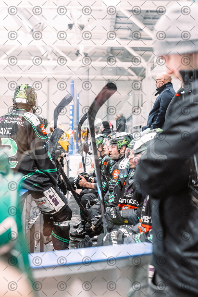 Alligators_vs_Toelz_18_11_2025-60 | Höchstadt Alligators Fotogalerie: Eishockey-Action aus Franken. Professionelle Spielfotos, Portraits & Stadionbilder zum Download. Jetzt entdecken! - Realisiert mit Pictrs.com