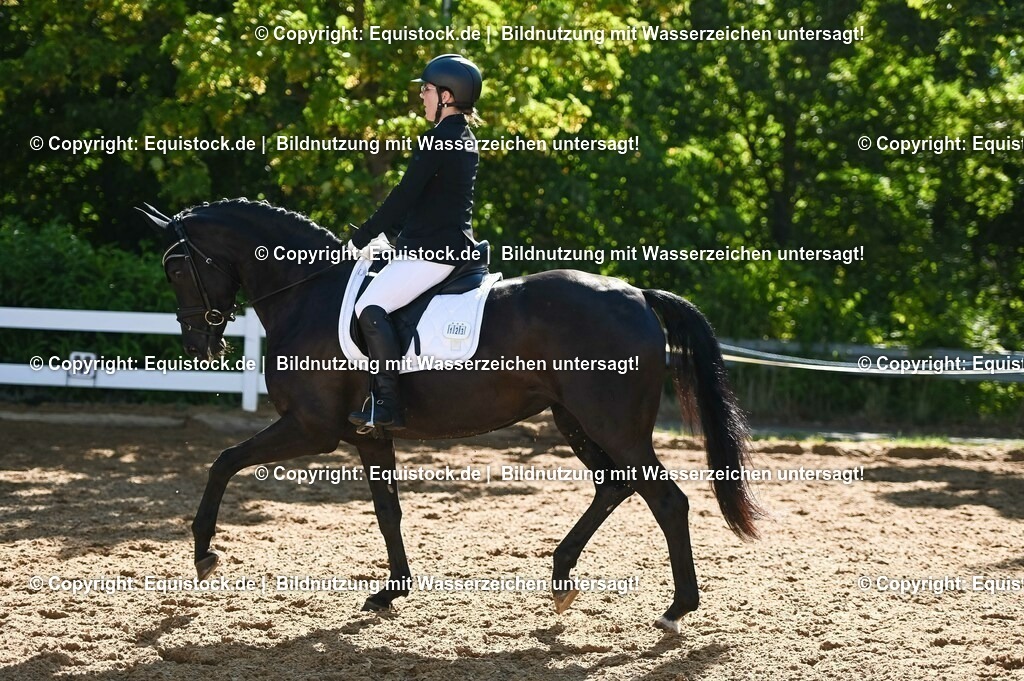 20230715_06_Dressurpferdeprfg. Kl.A_0334 | equistock